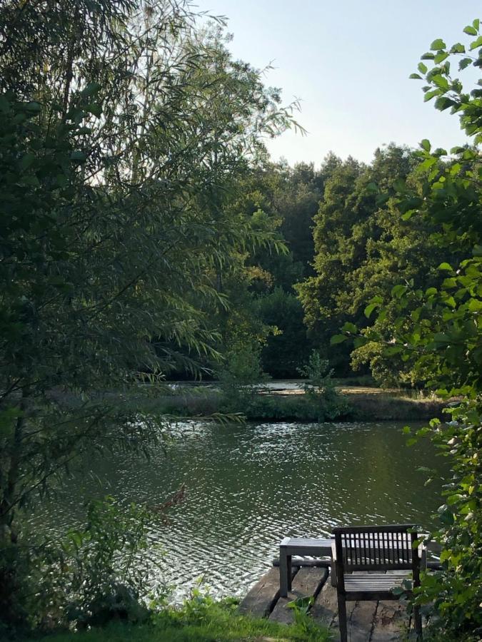 La Francoisiere Bed & Breakfast Loigné-sur-Mayenne Eksteriør bilde