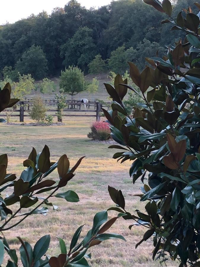 La Francoisiere Bed & Breakfast Loigné-sur-Mayenne Eksteriør bilde