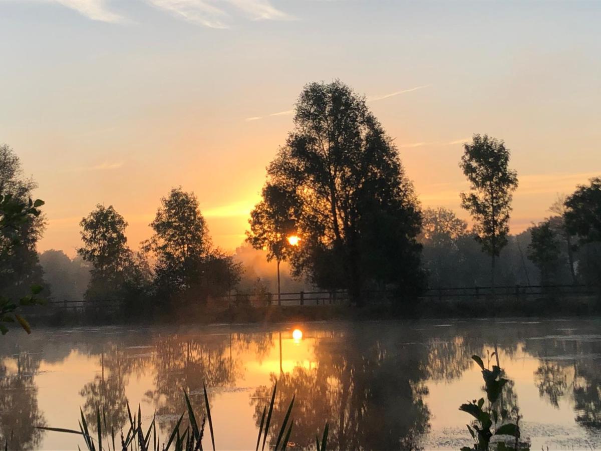 La Francoisiere Bed & Breakfast Loigné-sur-Mayenne Eksteriør bilde