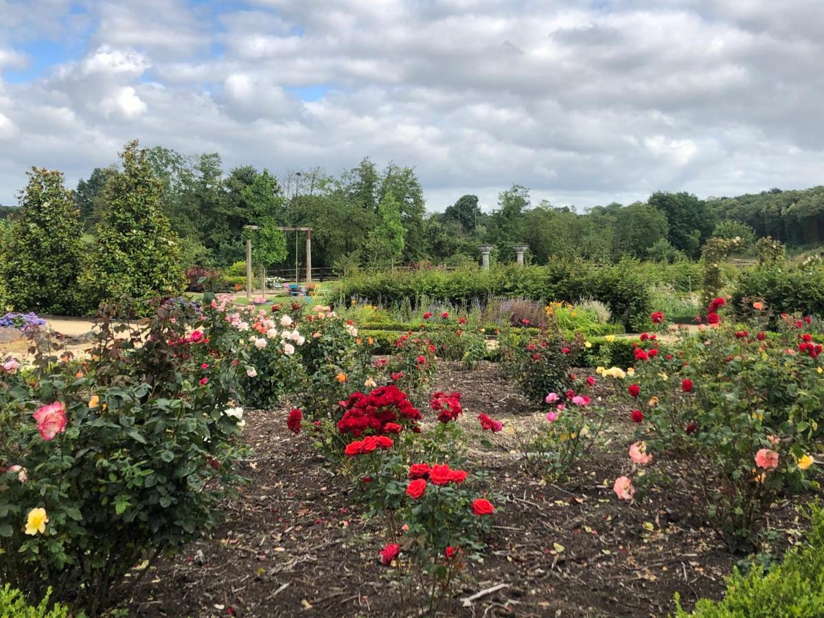 La Francoisiere Bed & Breakfast Loigné-sur-Mayenne Eksteriør bilde