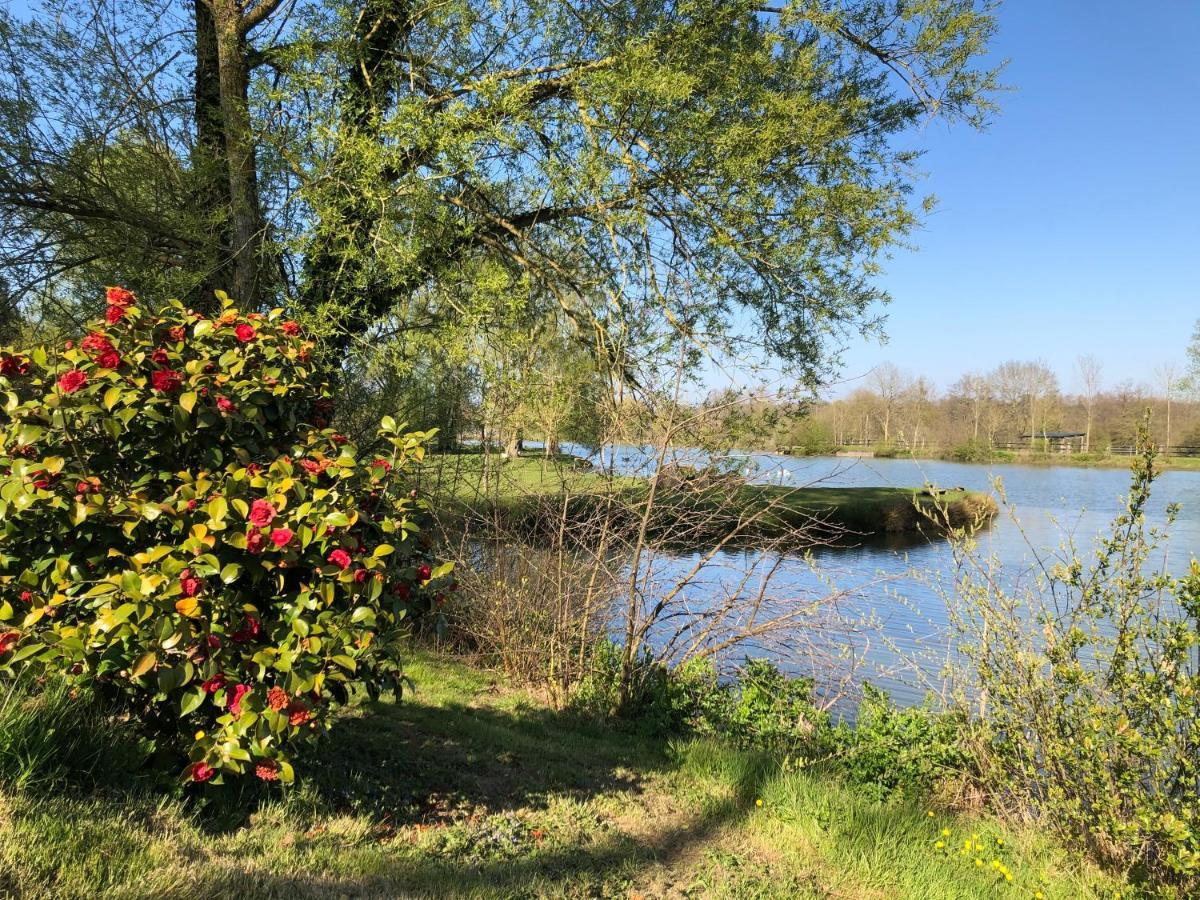 La Francoisiere Bed & Breakfast Loigné-sur-Mayenne Eksteriør bilde