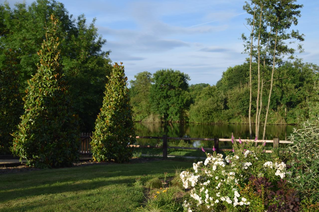 La Francoisiere Bed & Breakfast Loigné-sur-Mayenne Eksteriør bilde